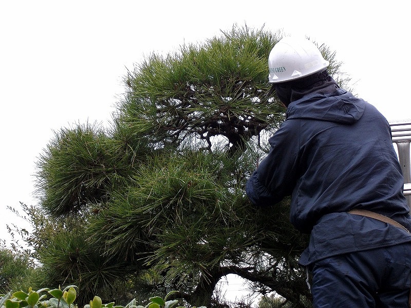 建設業に関連する業務なら何でもお受けします！